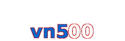 vn500