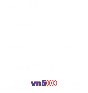 vn500