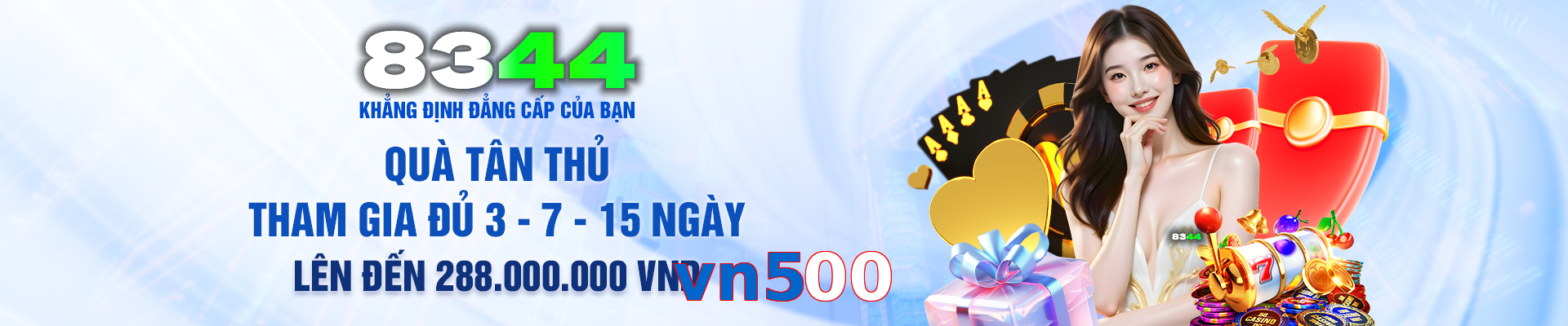 vn500